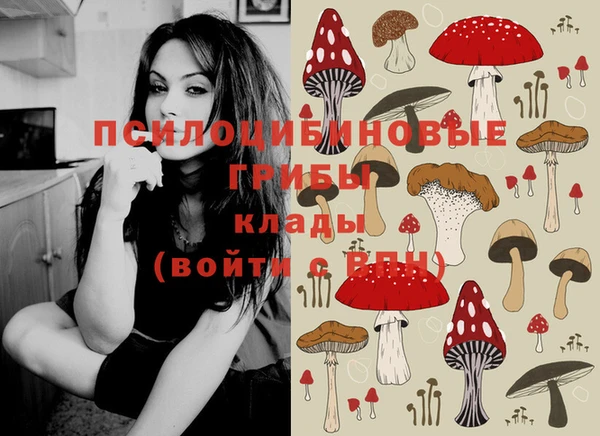 МДПВ Абаза