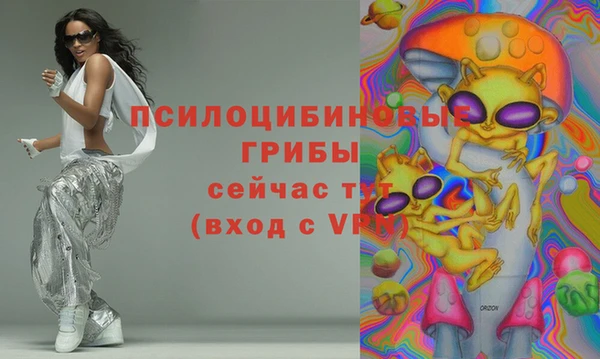 МДПВ Абаза